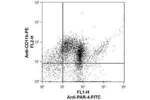 Flow Cytometry (FACS) image for anti-Coagulation Factor II (Thrombin) Receptor-Like 3 (F2RL3) (AA 136-150), (C149S), (Extracellular) antibody (FITC) (ABIN7043078)