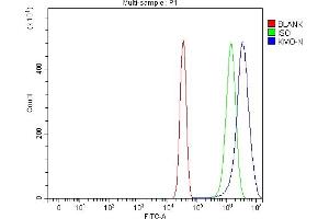 Flow Cytometry analysis of Neuro-2a cells using anti-KMO antibody (ABIN7600958). (KMO Antikörper  (AA 26-372))