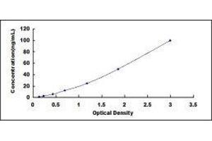 ELISA image for Vitronectin (VTN) ELISA Kit (ABIN6574249)