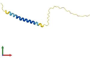 AlphaFold protein structure predicition of Mouse Recombinant Adig Protein, UniprotID Q8R400