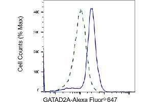 Validation of GATAD2A knockdown using flow cytometry. (Rekombinanter GATAD2A Antikörper)