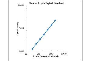 ELISA image for Leptin (LEP) ELISA Kit (ABIN2472080)