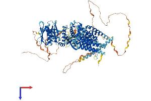 PTK2B Protein (AA 1-1009) (His tag)