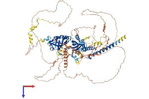 EPAS1 Protein (AA 1-874) (His tag)