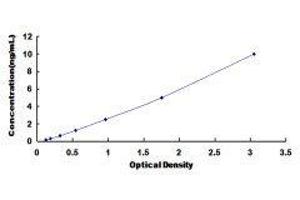 ELISA image for Podoplanin (PDPN) ELISA Kit (ABIN433055)