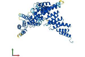 Protein Structure (PS) image for Interferon-Induced Protein with Tetratricopeptide Repeats 1 (IFIT1) (AA 1-463) protein (His tag) (ABIN7563985)