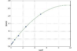 Carboxylesterase 2 (CES2) ELISA Kit