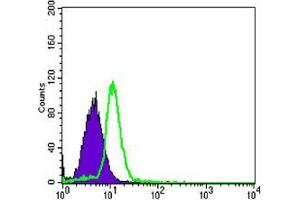 Flow Cytometry (FACS) image for anti-Tumor Necrosis Factor Receptor Superfamily, Member 11b (TNFRSF11B) antibody (ABIN969439)