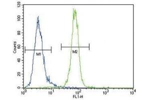 Anti-AKT antibody flow cytometric analysis of MDA-MB435 cells (right histogram) compared to a negative control (left histogram).