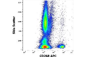 Flow Cytometry (FACS) image for anti-Tumor Necrosis Factor Receptor Superfamily, Member 13C (TNFRSF13C) antibody (APC) (ABIN7013979)