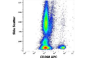 Flow cytometry surface staining pattern of human peripheral whole blood stained using anti-human CD268 (11C1) APC antibody (4 μL reagent / 100 μL of peripheral whole blood). (TNFRSF13C Antikörper  (APC))