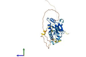 Protein Structure (PS) image for E74-Like Factor 5 (Ets Domain Transcription Factor) (ELF5) (AA 1-265) protein (His tag) (ABIN7547296)