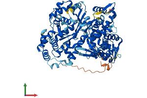 Protein Structure (PS) image for Glyceronephosphate O-Acyltransferase (GNPAT) (AA 1-680) protein (His tag) (ABIN7548080)