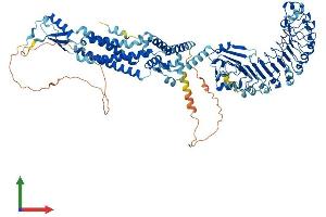 Protein Structure (PS) image for Leucine Rich Repeat Containing 8 Family, Member D (LRRC8D) (AA 1-858) protein (His tag) (ABIN7554466)