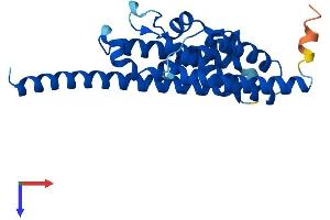 Translin Protein (TSN) (AA 1-228) (His tag)