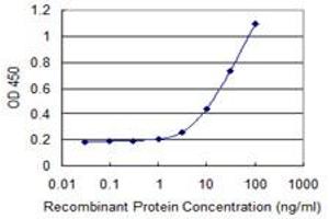 Detection limit for recombinant GST tagged HOXB9 is 1 ng/ml as a capture antibody. (HOXB9 Antikörper  (AA 65-163))
