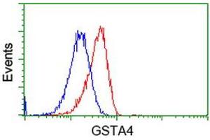 Flow cytometric Analysis of Hela cells, using anti-GSTA4 antibody (ABIN2453091), (Red), compared to a nonspecific negative control antibody (TA50011), (Blue). (GSTA4 Antikörper)