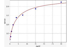 Fibulin 1 (FBLN1) ELISA Kit
