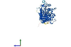 Protein Structure (PS) image for Phospholipase D family member 3 (PLD3) (AA 1-488) protein (His tag) (ABIN7562314)