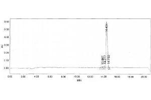 Image no. 2 for Myostatin (MSTN) peptide (Ovalbumin) (ABIN5666282) (Myostatin (MSTN) peptide (Ovalbumin))