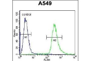 Flow Cytometry (FACS) image for anti-Heat Shock Protein 90kDa beta (Grp94), Member 1 (HSP90B1) (AA 460-487) antibody (ABIN655868)