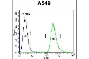 HSP90B1 Antibody (Center) (ABIN655868 and ABIN2845274) flow cytometric analysis of A549 cells (right histogram) compared to a negative control cell (left histogram). (GRP94 Antikörper  (AA 460-487))