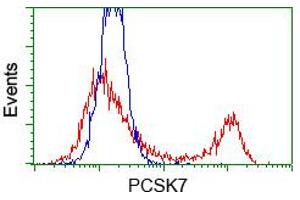 HEK293T cells transfected with either pCMV6-ENTRY PCSK7 (RC203896) (Red) or empty vector control plasmid (Blue) were immunostained with anti-PCSK7 mouse monoclonal (ABIN2453428, Dilution 1:1,000), and then analyzed by flow cytometry. (PCSK7 Antikörper)