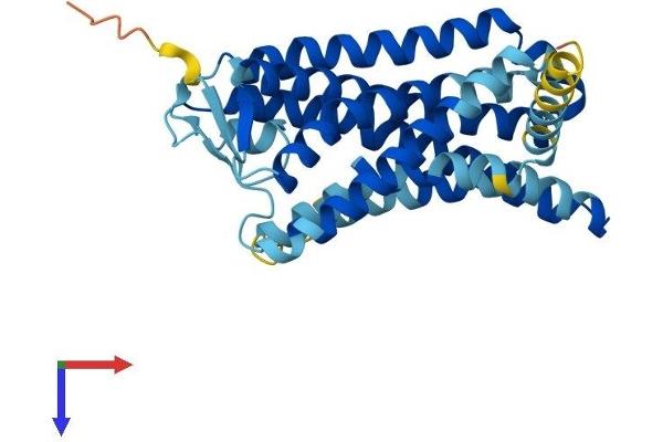 OR2C3 Protein (AA 1-320) (His tag)