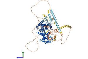 Protein Structure (PS) image for TBC1 Domain Family, Member 5 (TBC1D5) (AA 1-815) protein (His tag) (ABIN7564289)