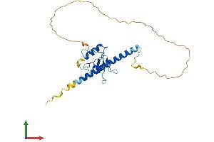 AlphaFold protein structure predicition of Human Recombinant THAP3 Protein, UniprotID Q8WTV1