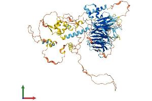 Protein Structure (PS) image for TATA Box Binding Protein (TBP)-Associated Factor, RNA Polymerase I, C, 110kDa (TAF1C) (AA 1-836) protein (His tag) (ABIN7564120)