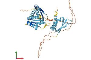 Protein Structure (PS) image for Poly(rC) Binding Protein 1 (PCBP1) (AA 1-356) protein (His tag) (ABIN7556560)