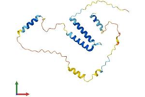 AlphaFold protein structure predicition of Mouse Recombinant Sertad3 Protein, UniprotID Q9ERC3