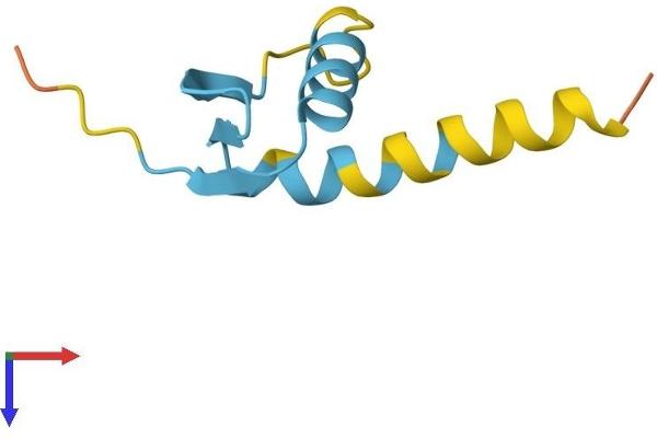 GTF2H5 Protein (AA 1-71) (Fc Tag)