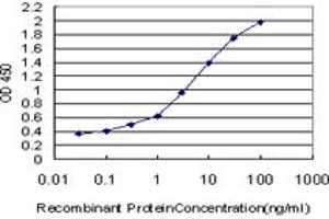 Detection limit for recombinant GST tagged IL17B is approximately 0. (IL17B Antikörper  (AA 23-122))