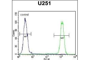 C Antibody (C-term) (ABIN654459 and ABIN2844192) flow cytometric analysis of  cells (right histogram) compared to a negative control cell (left histogram). (SLC35F6 Antikörper  (C-Term))