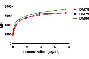 Affinity ranking of different Rabbit anti-GITR mAb clones by titration of different concentration onto PC3 cells.