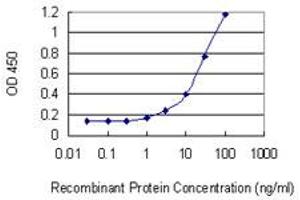 Detection limit for recombinant GST tagged NUP50 is 0. (NUP50 Antikörper  (AA 342-439))