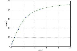 Casein beta (CSN2) ELISA Kit