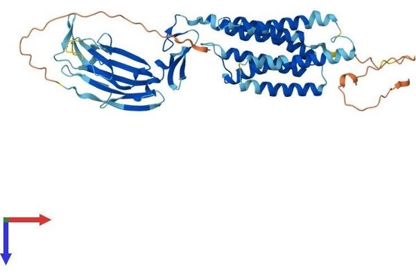 TMEM8B Protein (AA 1-472) (His tag)