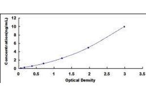 ELISA image for Taste Receptor, Type 1, Member 2 (TAS1R2) ELISA Kit (ABIN428748)