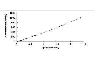 BMP6 ELISA Kit