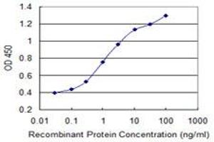 Detection limit for recombinant GST tagged PELO is 0. (PELO Antikörper  (AA 291-385))