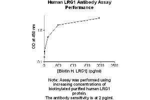 Image no. 2 for anti-Leucine-Rich alpha-2 Glycoprotein 1 (LRG1) antibody (Biotin) (ABIN5567234) (LRG1 Antikörper  (Biotin))