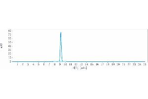 anti-PDCD1 (Dostarlimab Biosimilar) antibody