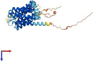 SLC35A2 Protein (AA 1-396) (His tag)