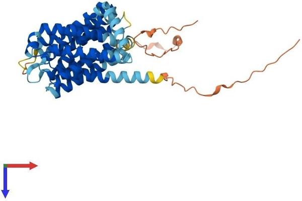 SLC35A2 Protein (AA 1-396) (His tag)