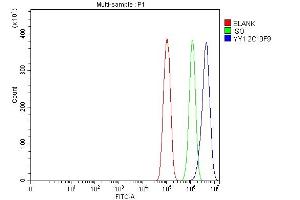 Flow Cytometry analysis of PC-3 cells using anti-YY1 antibody (ABIN7602999).