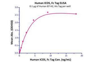 Immobilized Human B7-H2, His Tag (Cat# B72-H5221) at 1μg/mL (100 µl/well),can bind Human ICOS, Fc Tag (Cat# ICS-H5250) with a linear of 0. (ICOSLG Protein (AA 19-258) (His tag))