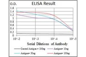 ELISA image for anti-Yes-Associated Protein 1 (YAP1) antibody (ABIN1109527)